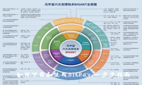 如何下载和使用BitPay:一步步指南