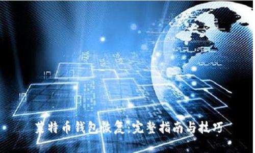 莱特币钱包恢复:完整指南与技巧