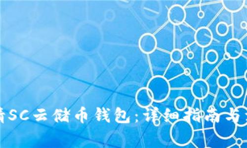 如何申请SC云储币钱包：详细指南与注意事项