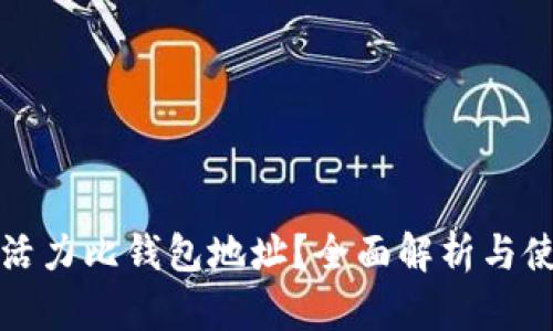 什么是活力比钱包地址？全面解析与使用指南