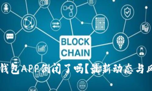 虚拟币钱包APP倒闭了吗?最新动态与风险分析