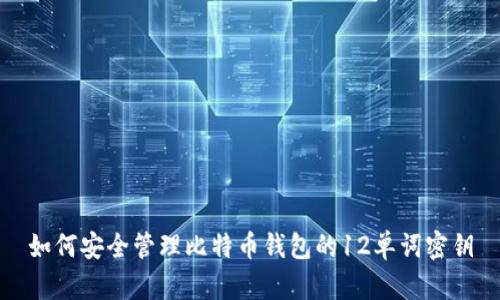 如何安全管理比特币钱包的12单词密钥