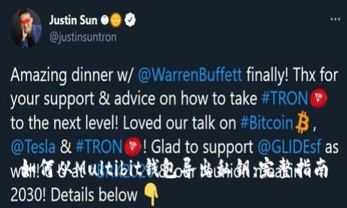 如何从Multibit钱包导出私钥：完整指南