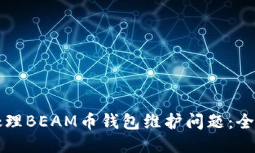 如何处理BEAM币钱包维护问题:全面指南