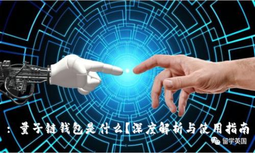 : 量子链钱包是什么?深度解析与使用指南