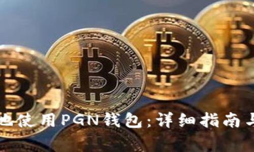 如何安全有效地使用PGN钱包:详细指南与常见问题解答