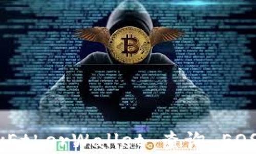 如何在 MyEtherWallet 查询 EOS 钱包信息