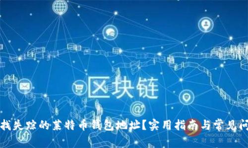 如何查找失踪的莱特币钱包地址?实用指南与常见问题解答