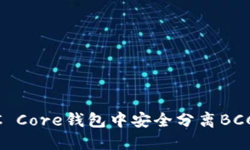 如何在BTC Core钱包中安全分离BCC:详细指南