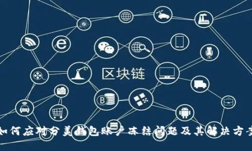 如何应对分美钱包账户冻结问题及其解决方案