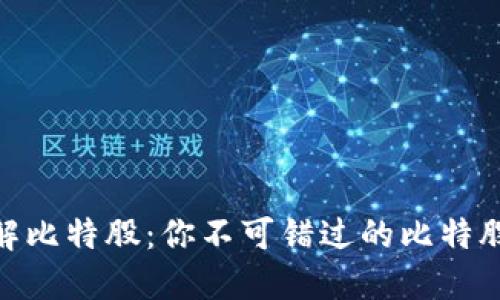 : 深入了解比特股:你不可错过的比特股钱包选择
