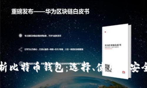 全面解析比特币钱包:选择、使用与安全性指南