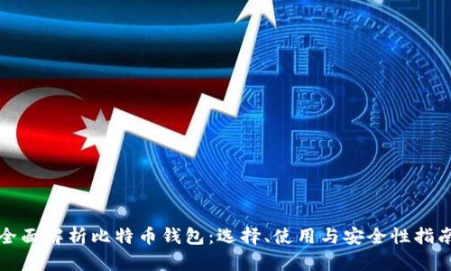 全面解析比特币钱包:选择、使用与安全性指南