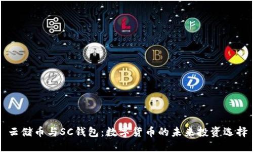 云储币与SC钱包:数字货币的未来投资选择