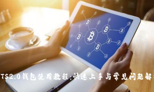 BTS2.0钱包使用教程:快速上手与常见问题解析