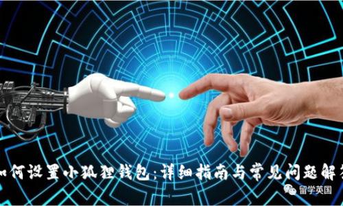 如何设置小狐狸钱包:详细指南与常见问题解答