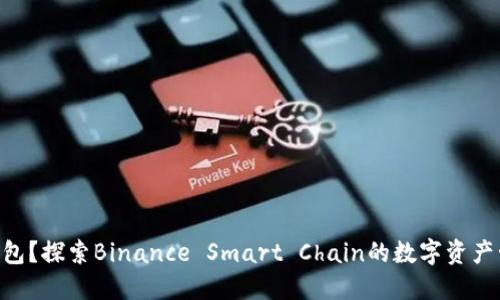 什么是BSC钱包?探索Binance Smart Chain的数字资产管理解决方案