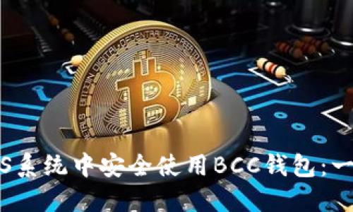 如何在iOS系统中安全使用BCC钱包:一站式指南