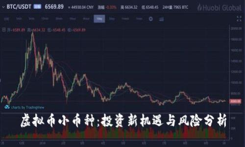 虚拟币小币种:投资新机遇与风险分析