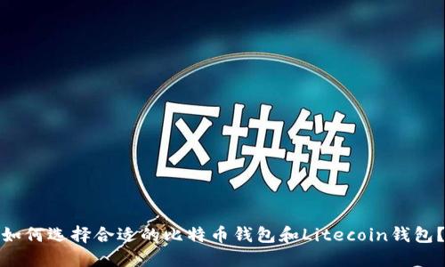 如何选择合适的比特币钱包和Litecoin钱包?