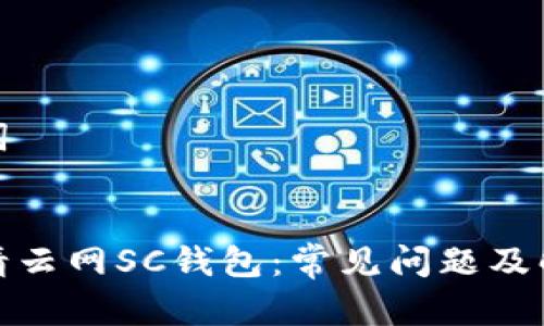 和关键词
如何申请云网SC钱包:常见问题及解决方案
