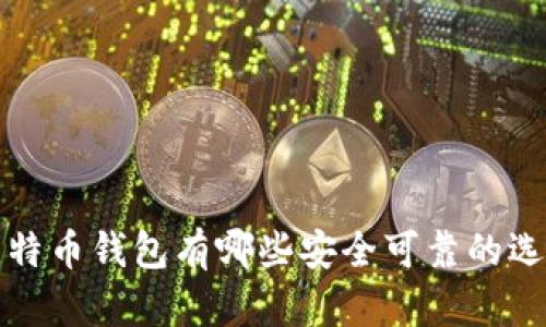比特币钱包有哪些安全可靠的选择