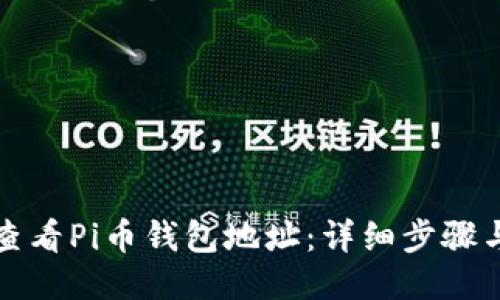 如何查看Pi币钱包地址:详细步骤与技巧