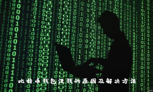 比特币钱包没钱的原因及解决方法
