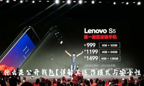 什么是公开钱包?详解其运作模式与安全性