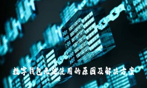 数字钱包无法使用的原因及解决方案