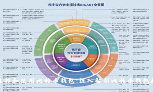 如何选择和使用比特币钱包:深入解析比特币钱包数据块