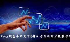 TOpay钱包币不见了？解决方法及用户经验分享