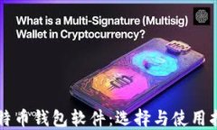 比特币钱包软件：选择与使用指南
