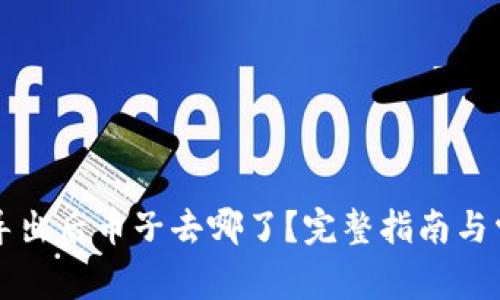 量子链钱包导出后币子去哪了？完整指南与常见问题解答