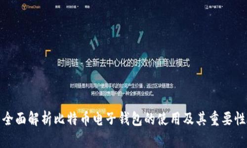 全面解析比特币电子钱包的使用及其重要性