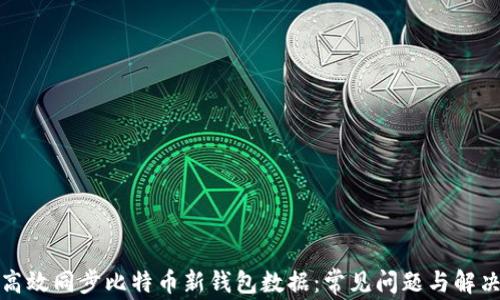 如何高效同步比特币新钱包数据:常见问题与解决方案