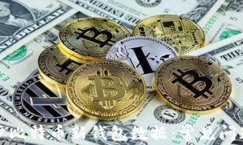 如何高效同步比特币新钱包数据:常见问题与解决方案