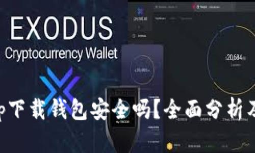 虚拟币app下载钱包安全吗?全面分析及风险评估