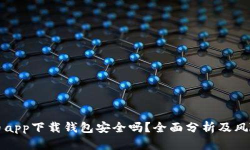 虚拟币app下载钱包安全吗?全面分析及风险评估