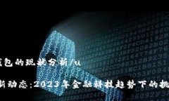 u关于U钱包的现状分析/uU钱包最新动态：2023年金
