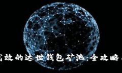 如何搭建高效的达世钱包矿池：全攻略与实用技