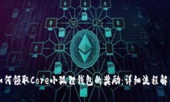 如何领取Core小狐狸钱包的奖励：详细流程解析
