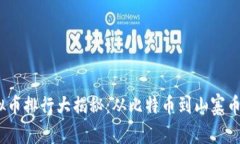 2023年虚拟币排行大揭秘：从比特币到山寨币的投