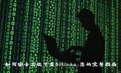 如何安全高效下载Bitinka：您的完整指南