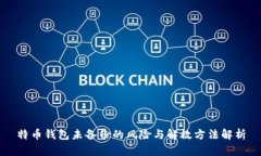 特币钱包未备份的风险与解救方法解析