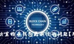 ### 如何解决莱特币钱包更新慢的问题？用户的实