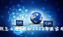 数字钱包的钱怎么用？揭秘2023年最实用的使用技
