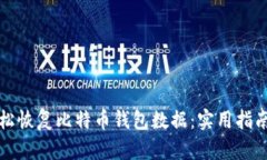 如何轻松恢复比特币钱包数据：实用指南与技巧