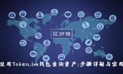 如何使用Token.im钱包查询资产：步骤详解与实用建