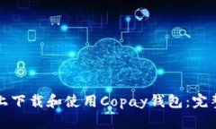 如何在安卓手机上下载和使用Copay钱包：完整指南